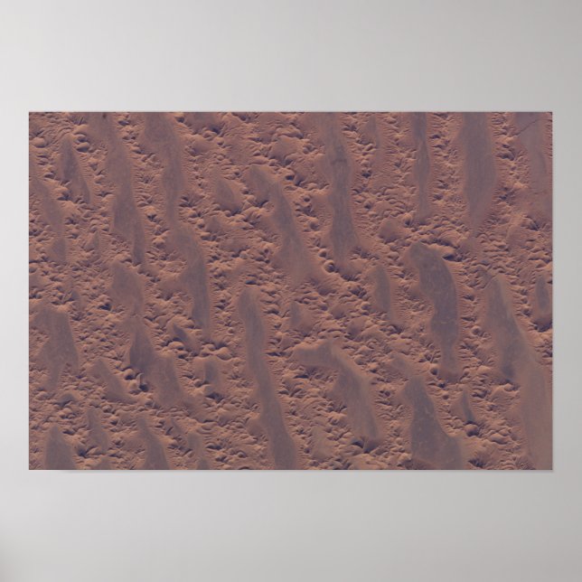 Poster Le désert algérien (Devant)