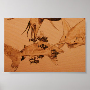 Poster Le despote de requin