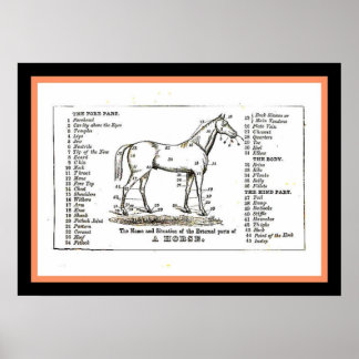 Poster Le diagramme des chevaux