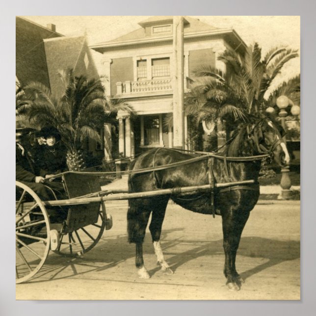 Poster Le dimanche (Devant)