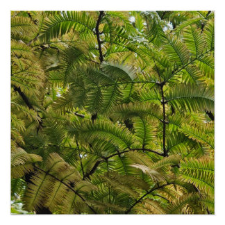 Poster Le doux conquiert le dur