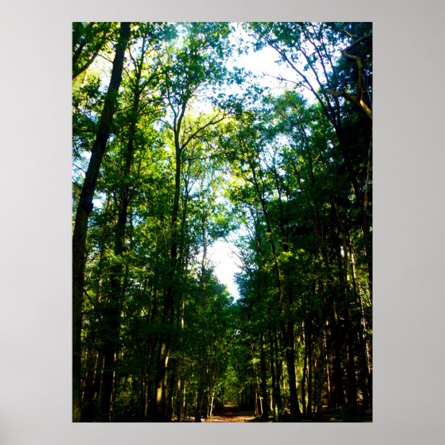 Poster Le droit et le étroit (Devant)