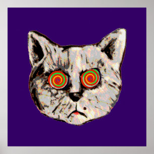 Poster le drôle de chat fou
