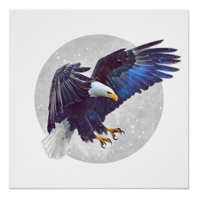 Poster Le drone de la nature (Devant)