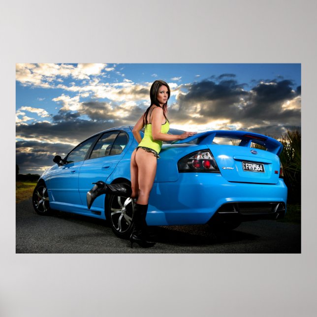 Poster Le Faucon (Devant)