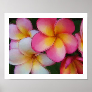 Poster Le Frangipani de Plumeria fleurit le croquis