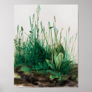 Poster Le gros morceau de Turf par Albrecht Durer