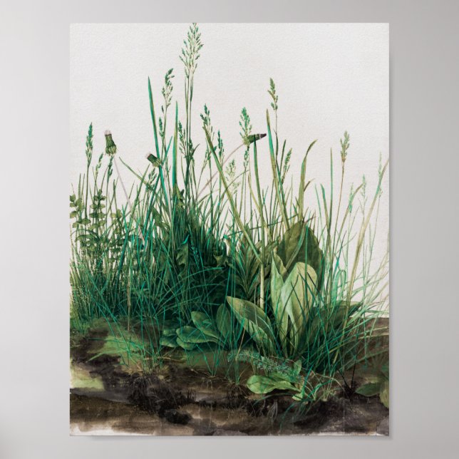 Poster Le gros morceau de Turf par Albrecht Durer (Devant)
