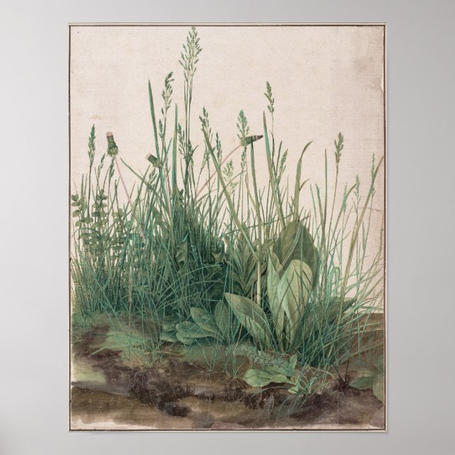 Poster Le gros morceau de Turf par Albrecht Durer (Devant)