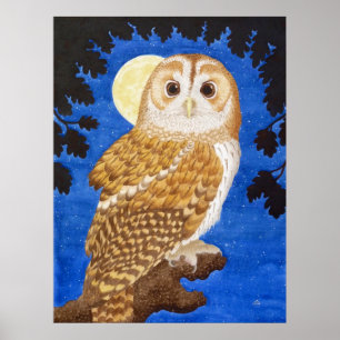 Poster Le hibou fauve
