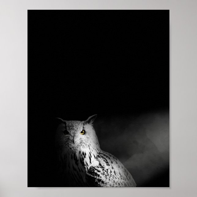 Poster Le hibou, noir et blanc, photo (Devant)