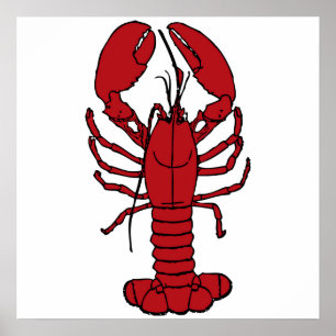 Poster le homard est rouge