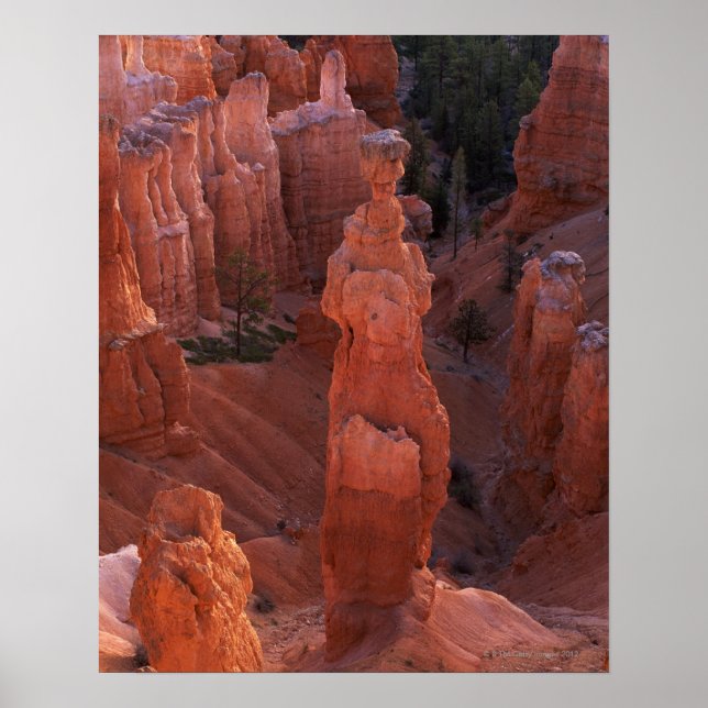Poster Le hoodoo Thor's Hammer sur Navajo Trail (Devant)