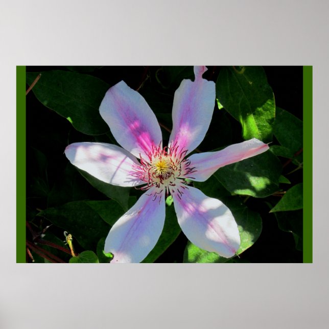 Poster Le jardin aux fleurs de maman (Devant)