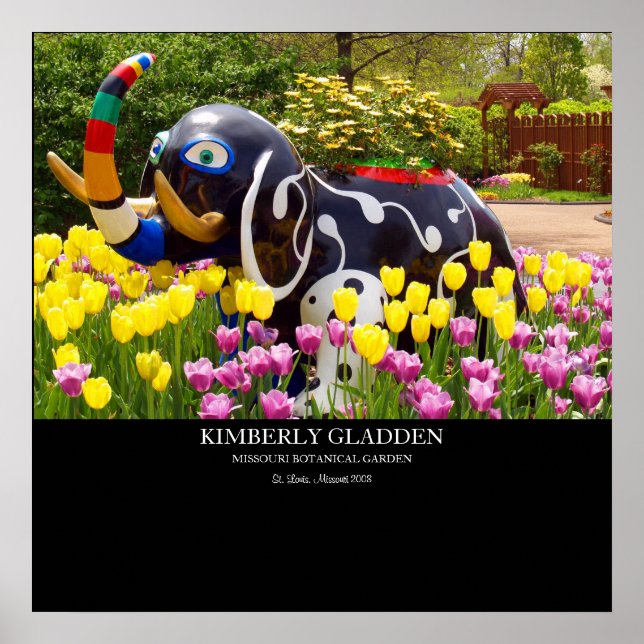 POSTER LE JARDIN BOTANIQUE DE MISSOURI (Devant)