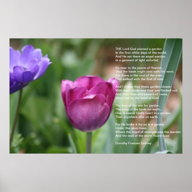 Poster Le jardin de Dieu (Devant)