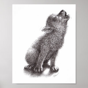 Poster Le jeune loup hurle sur la lune.