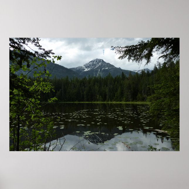 Poster Le lac Johns II du parc national Glacier (Devant)