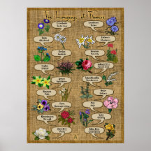 Le langage des fleurs