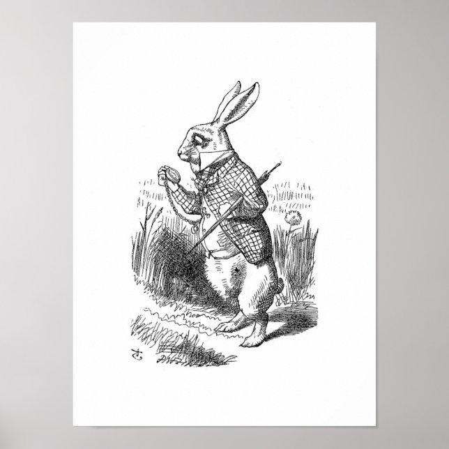 Poster Le lapin blanc (Devant)