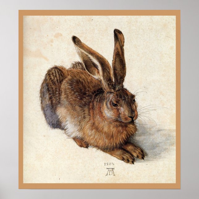 Poster LE LAPIN ( Jeune Lièvre ) (Devant)