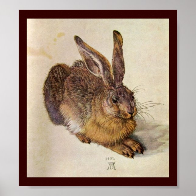 Poster LE LAPIN ( Jeune Lièvre ) (Devant)