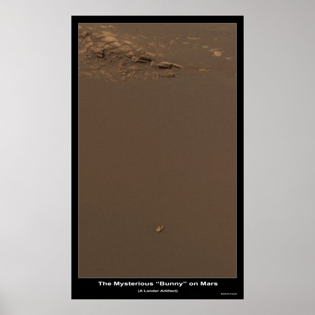 Poster Le lapin sur Mars - Qu'est-ce que c'est ? (Devant)