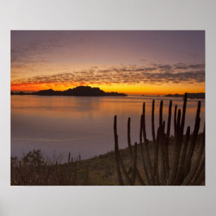 Poster Le lever du soleil sur Isla Danzante dans le golfe