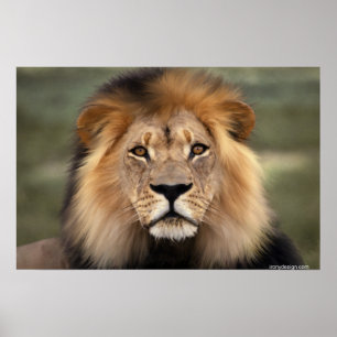 Poster Le Lion