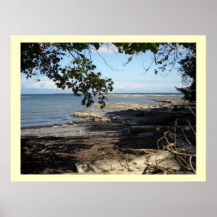 Poster Le long de l'océan