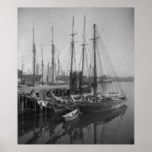 Poster Le long des quais