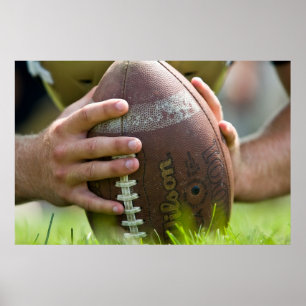 Poster Le Longsnapper