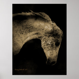 Poster Le Mare d'Arabie