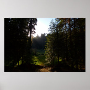 Poster Le matin de la prairie du croissant dans le parc n