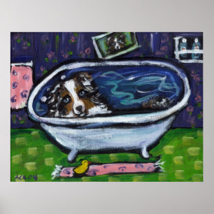 Poster Le merle bleu de berger australien prend le bain