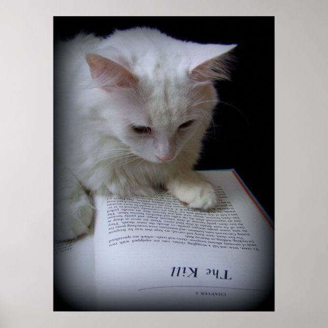 Poster Le meurtre (Devant)