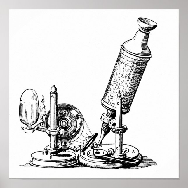 Poster Le microscope de Robert Hooke (Devant)