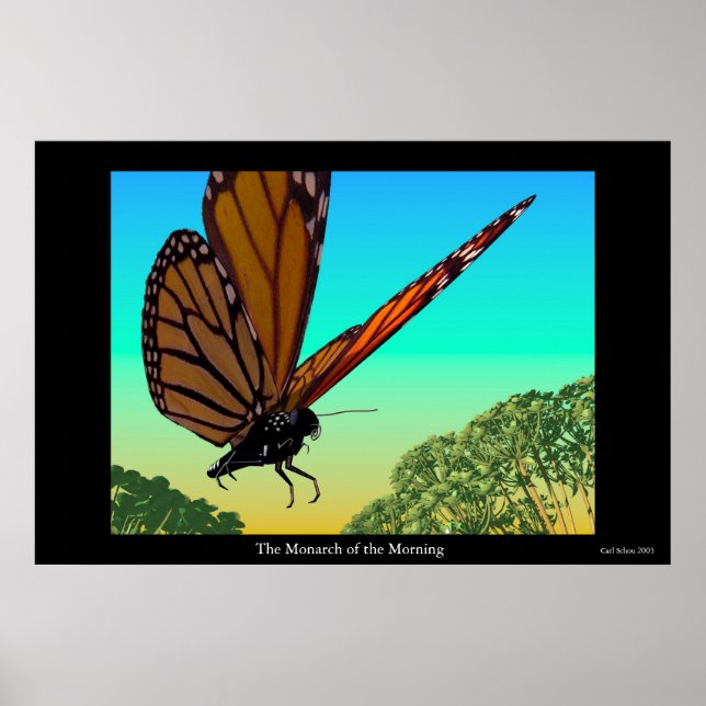 Poster Le monarque du matin (Devant)