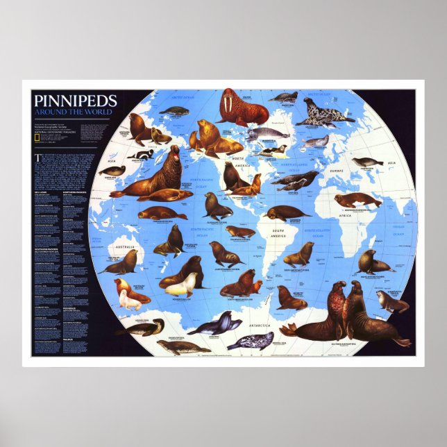 Poster " Le monde : 1987 Pinniped around the World ... (Devant)
