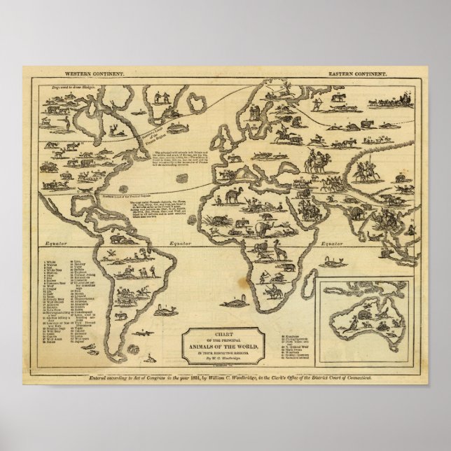 Poster Le monde des animaux (Devant)