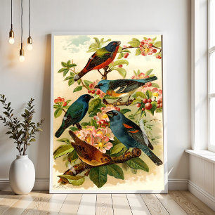 Poster Le monde des oiseaux d'Amérique du Nord, Gustav Mu