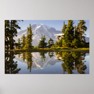 Poster Le mont Rainier se reflète dans un gouffre près 
