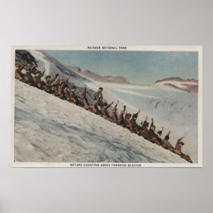 Poster Le mont Rainier, WA - ligne des personnes Sledding