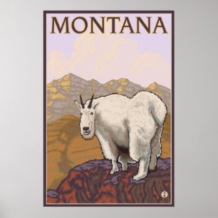 Poster Le Montana - chèvre de montagne