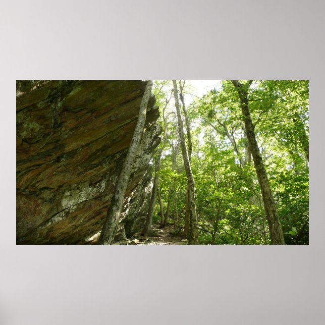 Poster Le mur de roche de Frazier dans le parc national d (Devant)