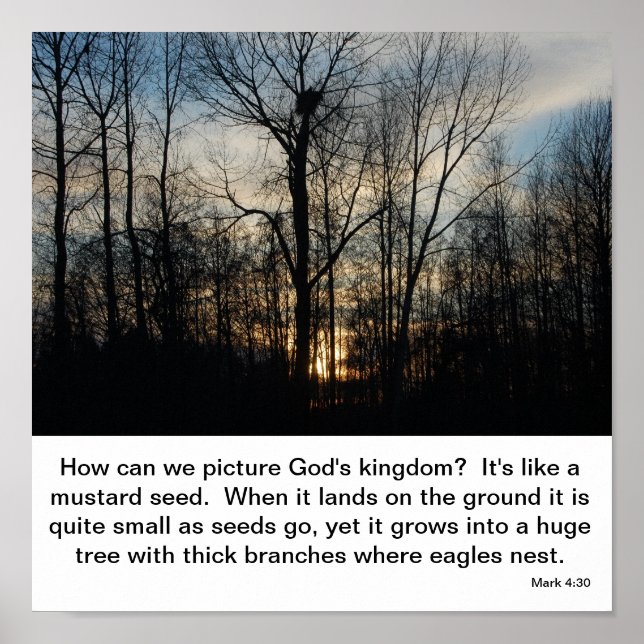 Poster Le nid du Royaume de Dieu (Devant)