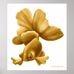 Poster Le noir amarrent la copie de poisson rouge