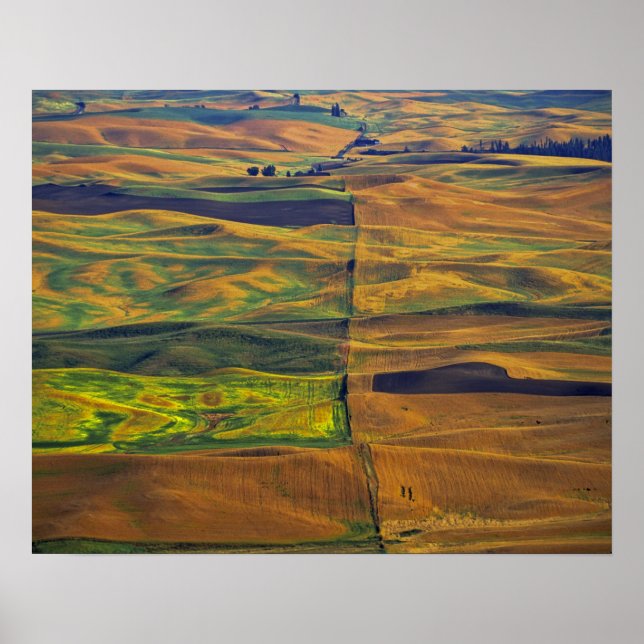 Poster Le Palouse depuis Steptoe Butte, Colfax, (Devant)