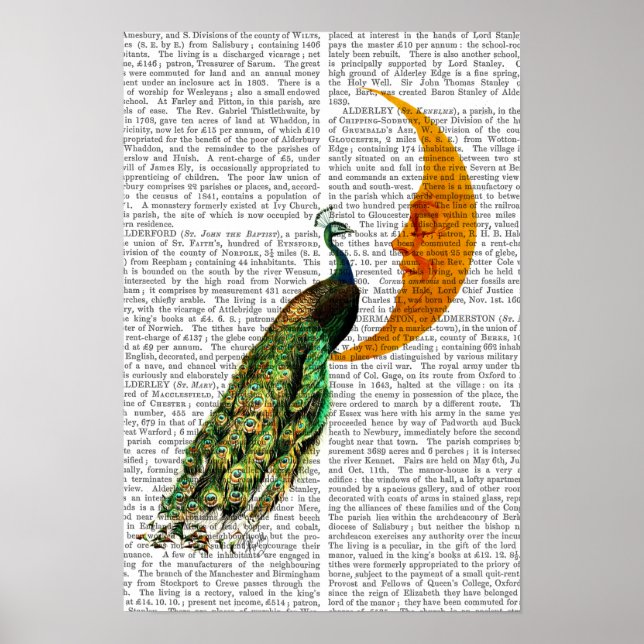 Poster Le paon sur la Lune (Devant)