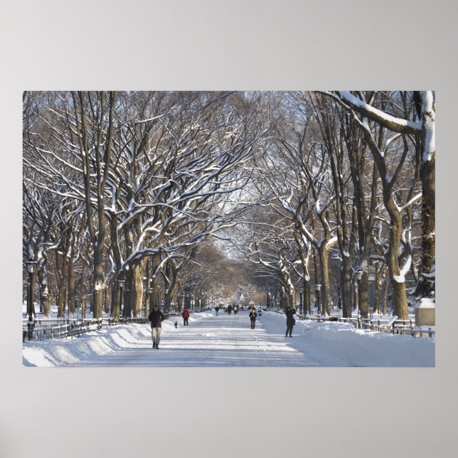 Poster Le parc central du centre-ville d'hiver (Devant)
